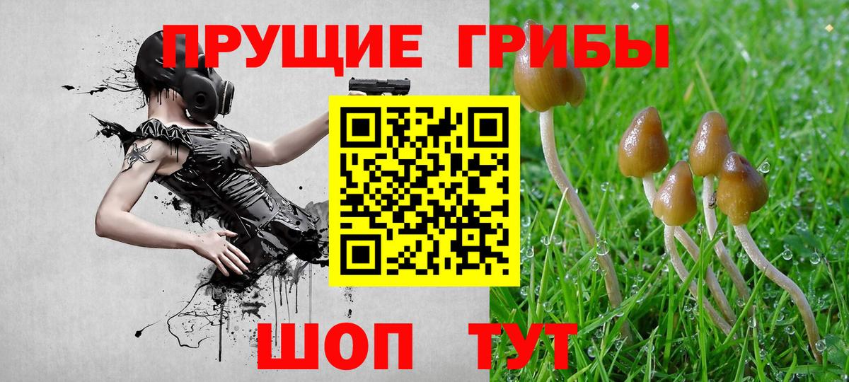 Псилоцибиновые грибы прущие грибы  Вход с VPN  Буйнакск 