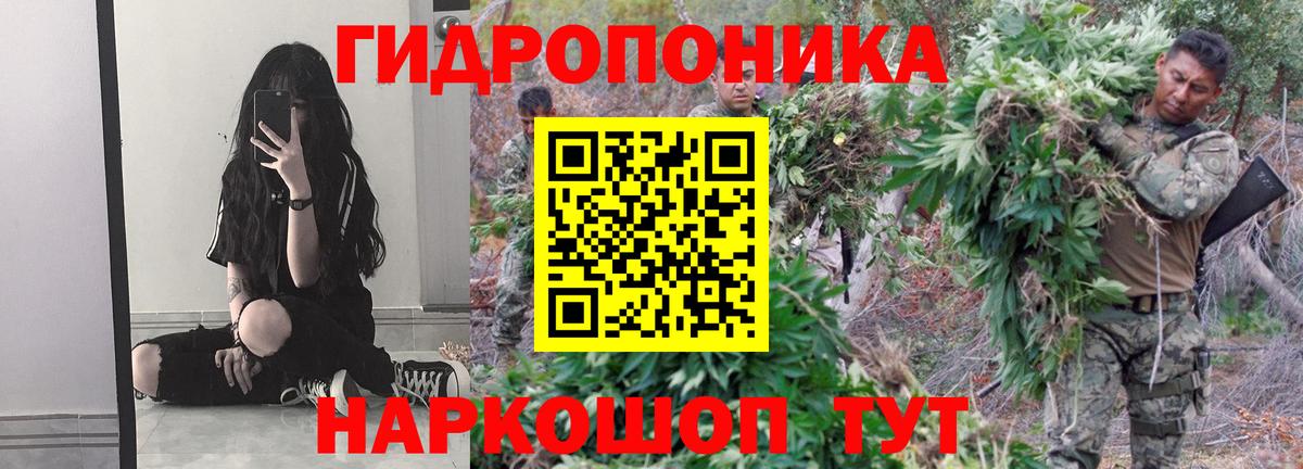 Буйнакск  Конопля гибрид  Вход с VPN  Конопля ГИДРОПОН  Шишки марихуана ГИДРОПОН 